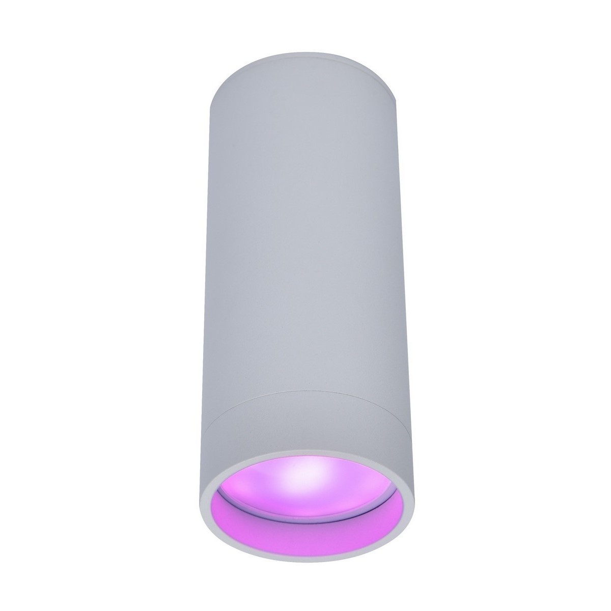 LUT STAG Nowoczesny sufitowy spot GU10 LUTEC connect