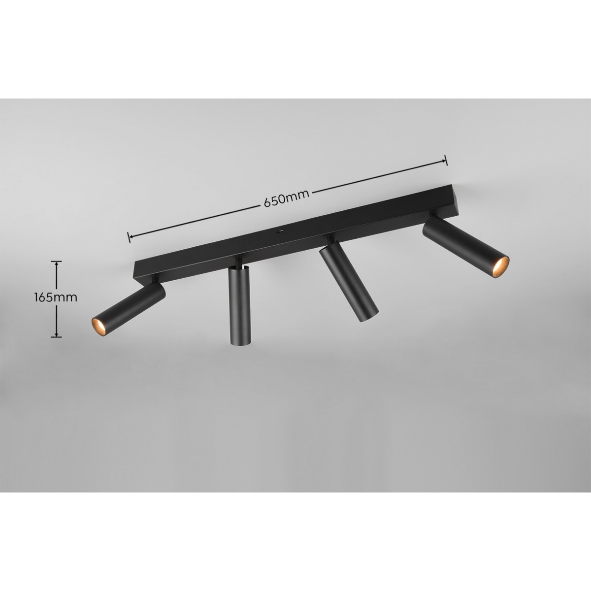 Nowoczesne oświetlenie sufitowe Trio AMBALA 849210432