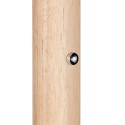 Lampa podłogowa Trio CELESTE 454910132
