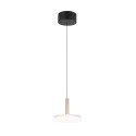 Nowoczesna lampa wisząca Trio CELESTE 354910165