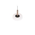 Nowoczesna lampa wisząca Trio CELESTE 354910165