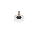 Nowoczesna lampa wisząca Trio CELESTE 354910165