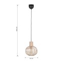 Nowoczesna lampa wisząca Trio GILA 365700166