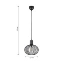 Nowoczesna lampa wisząca Trio GILA 365790132