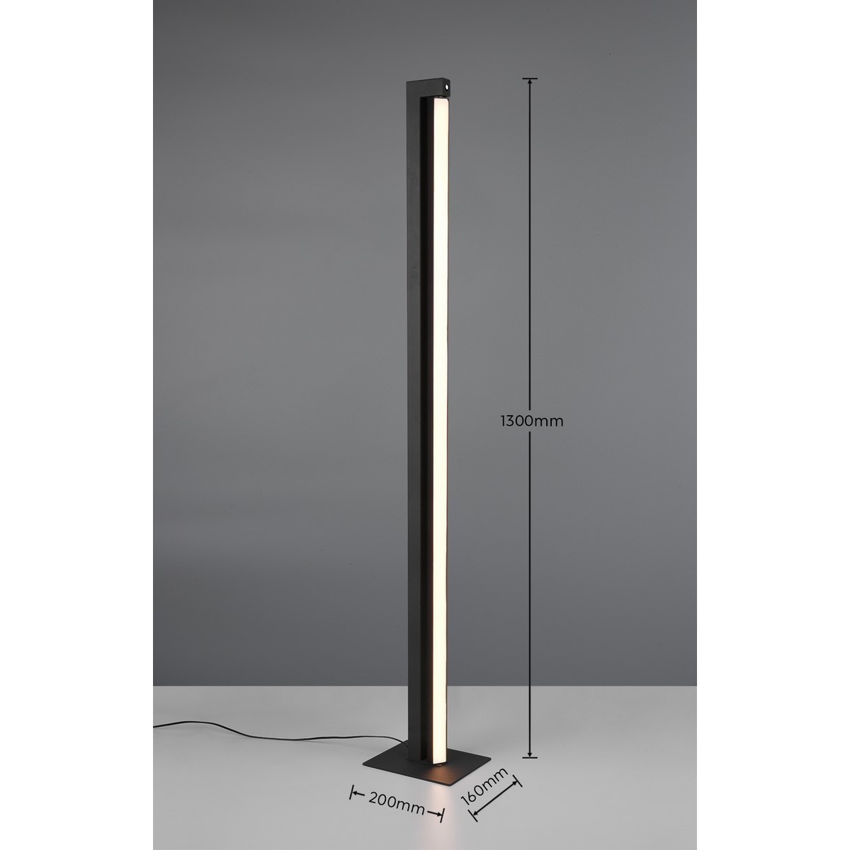 Lampa podłogowa Trio SEEKER 448810132