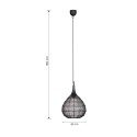Nowoczesna lampa wisząca Trio SORAYA 365440132