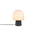 Lampa biurkowa - nocna Trio STEEN 568200132