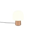 Lampa biurkowa - nocna Trio STEEN 568200165