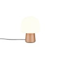 Lampa biurkowa - nocna Trio STEEN 568200165