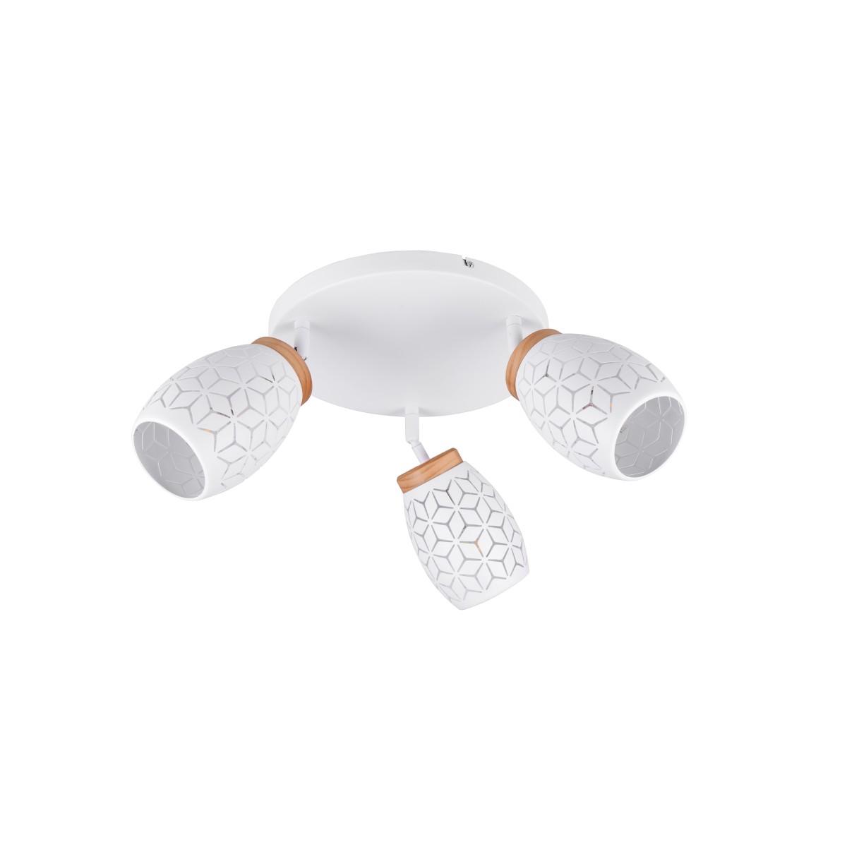 Nowoczesna lampa sufitowa RL BIDAR R61573331