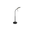 Piękna lampka nocna - biurkowa RL MORENO R54561132