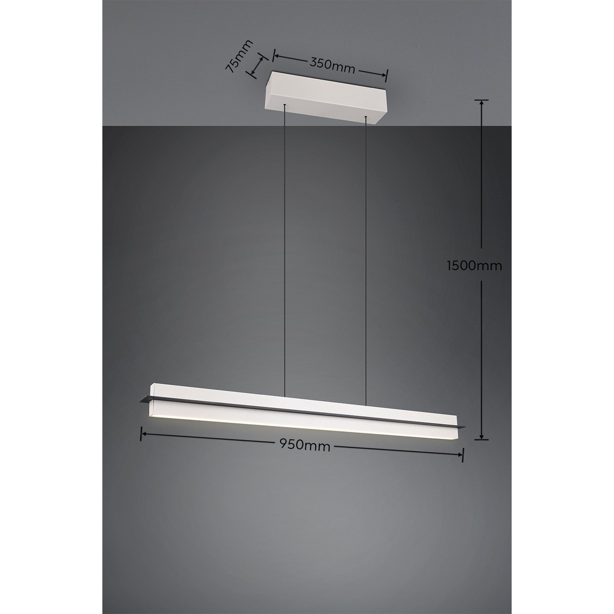 Nowoczesna lampa wisząca Trio EMERSON 346710176