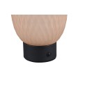 Lampa biurkowa - nocna Trio FACETTE 564210113