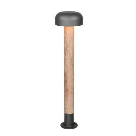 Lampa ogrodowa Trio FRASER 462560135