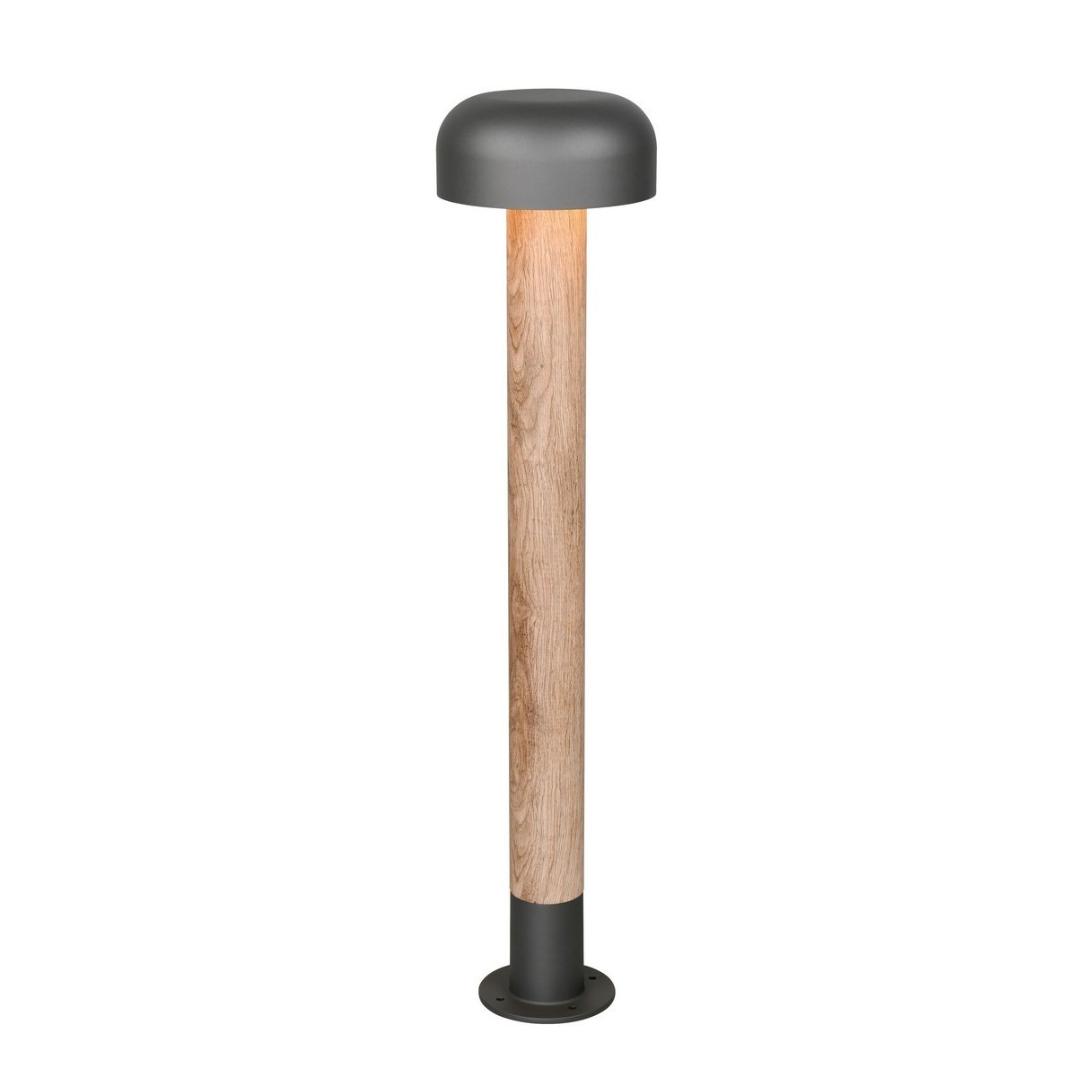 Lampa ogrodowa Trio FRASER 462560135