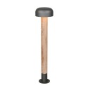Lampa ogrodowa Trio FRASER 462560135