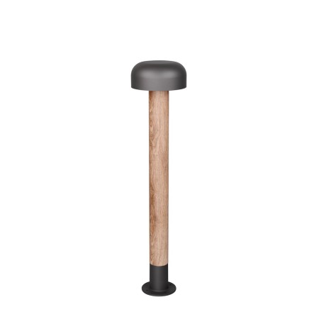 Lampa ogrodowa Trio FRASER 462560135