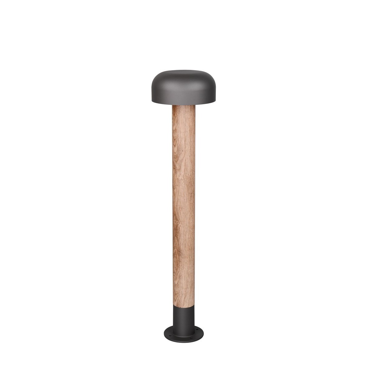 Lampa ogrodowa Trio FRASER 462560135