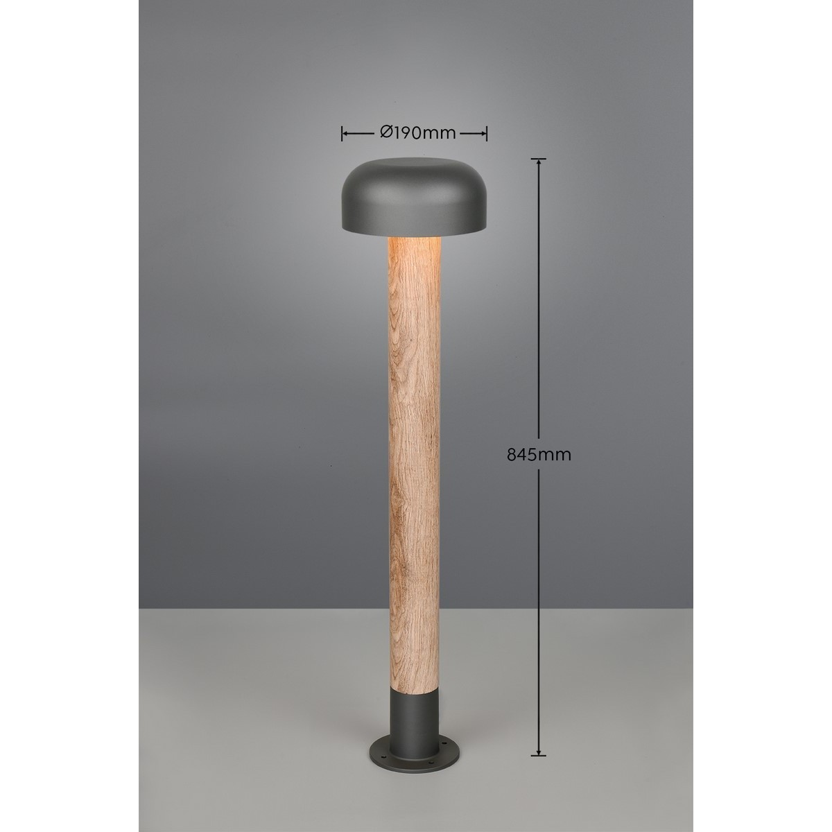 Lampa ogrodowa Trio FRASER 462560135