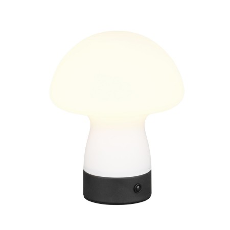 Piękna lampka nocna - biurkowa RL DOOLEY R54981131