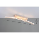 Nowoczesna lampa sufitowa RL GINKO R65791166