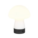 Piękna lampka nocna - biurkowa RL DOOLEY R54981131