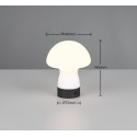 Piękna lampka nocna - biurkowa RL DOOLEY R54981131
