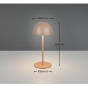 Piękna lampka nocna - biurkowa RL ORTIZ R55601165