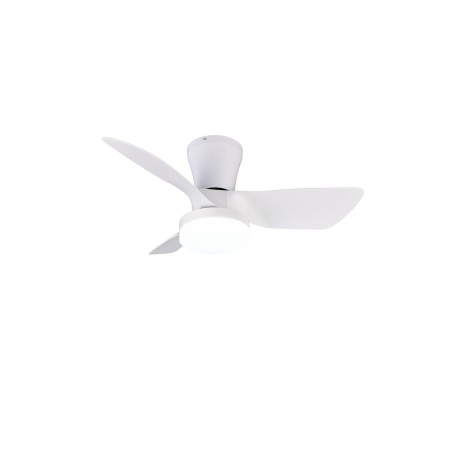 RANDERS R64412131