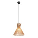 Nowoczesna lampa wisząca RL ROSALIE R36191036
