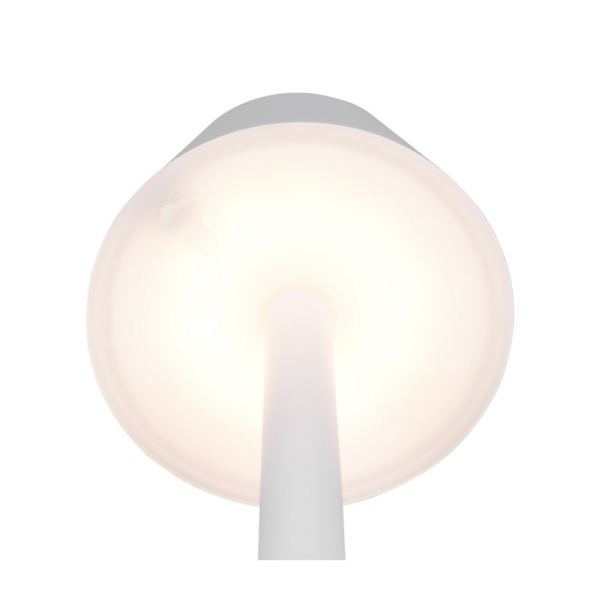 Piękna lampka nocna - biurkowa RL VIDAL R54991131