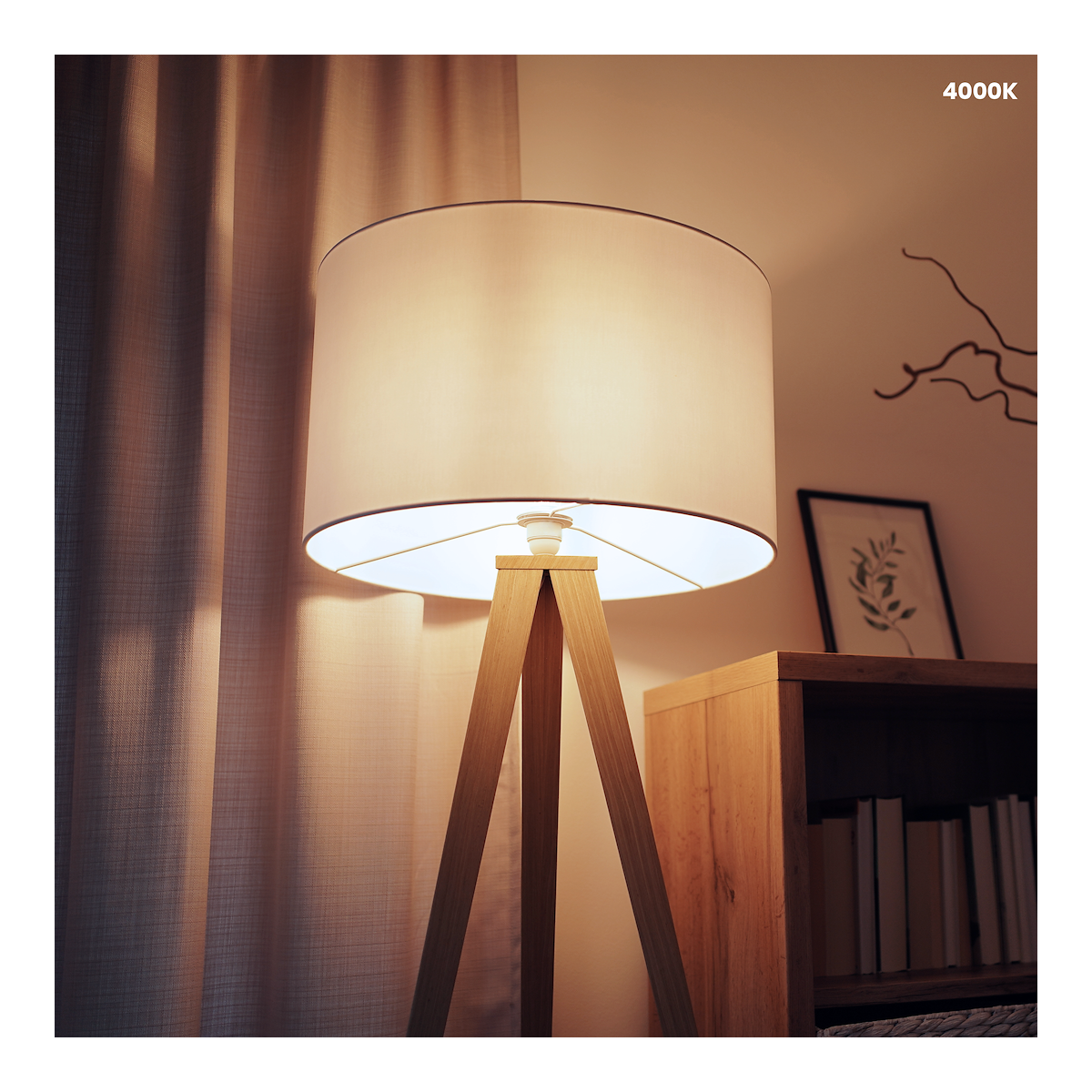 MiLagro EKZA0216 żarówka LED E14 5W 4000K światło podkreślające chara