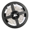 MiLagro EKZ0447 zestaw LED RGB 5m IP54 unikalne oświetlenie