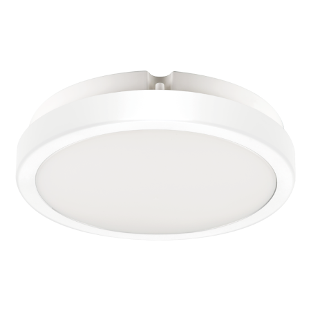MiLagro EKP0468 plafon Vera 12W IP65 światło podkreślające charakter