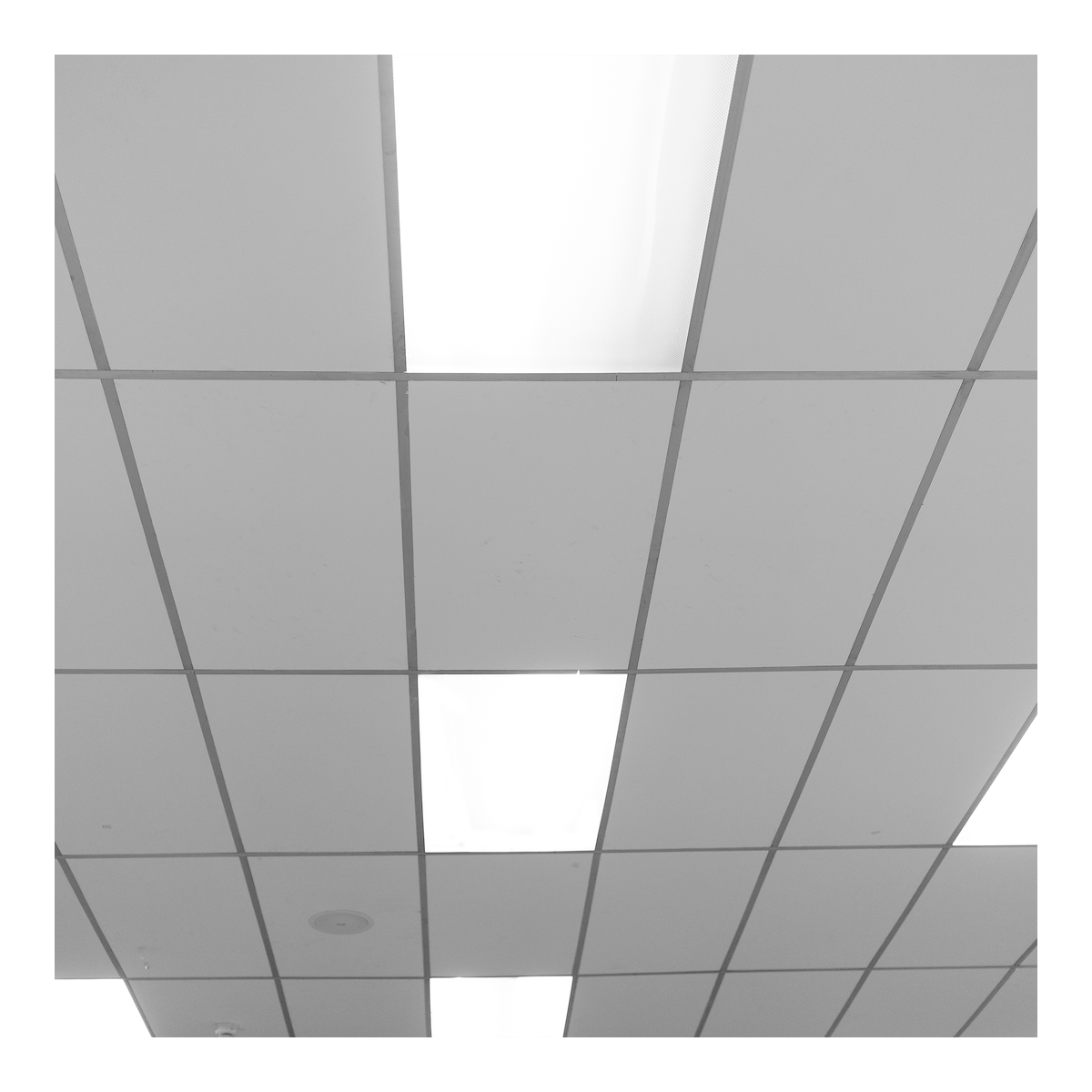Panel LED 40W 4000K Backlit 120x30 EKP0574