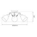 MiLagro Lampa sufitowa PIREUS 3xE27 ML1275