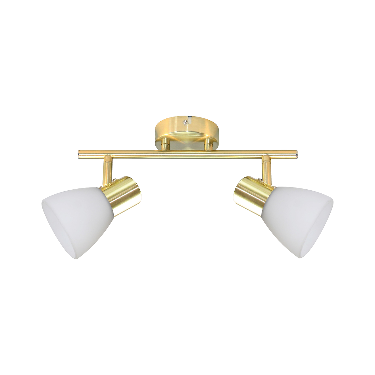 MiLagro Lampa sufitowa JOTA 2xE14 ML1061