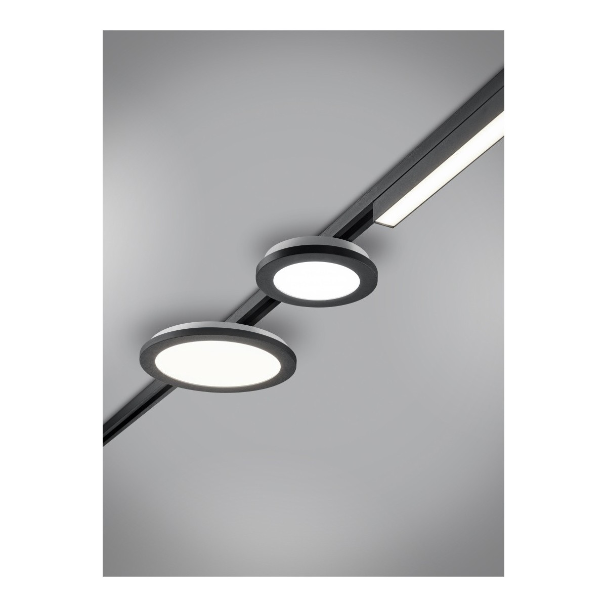 Oświetlenie szynowe 2fazowe Trio DUOLINE 76921587