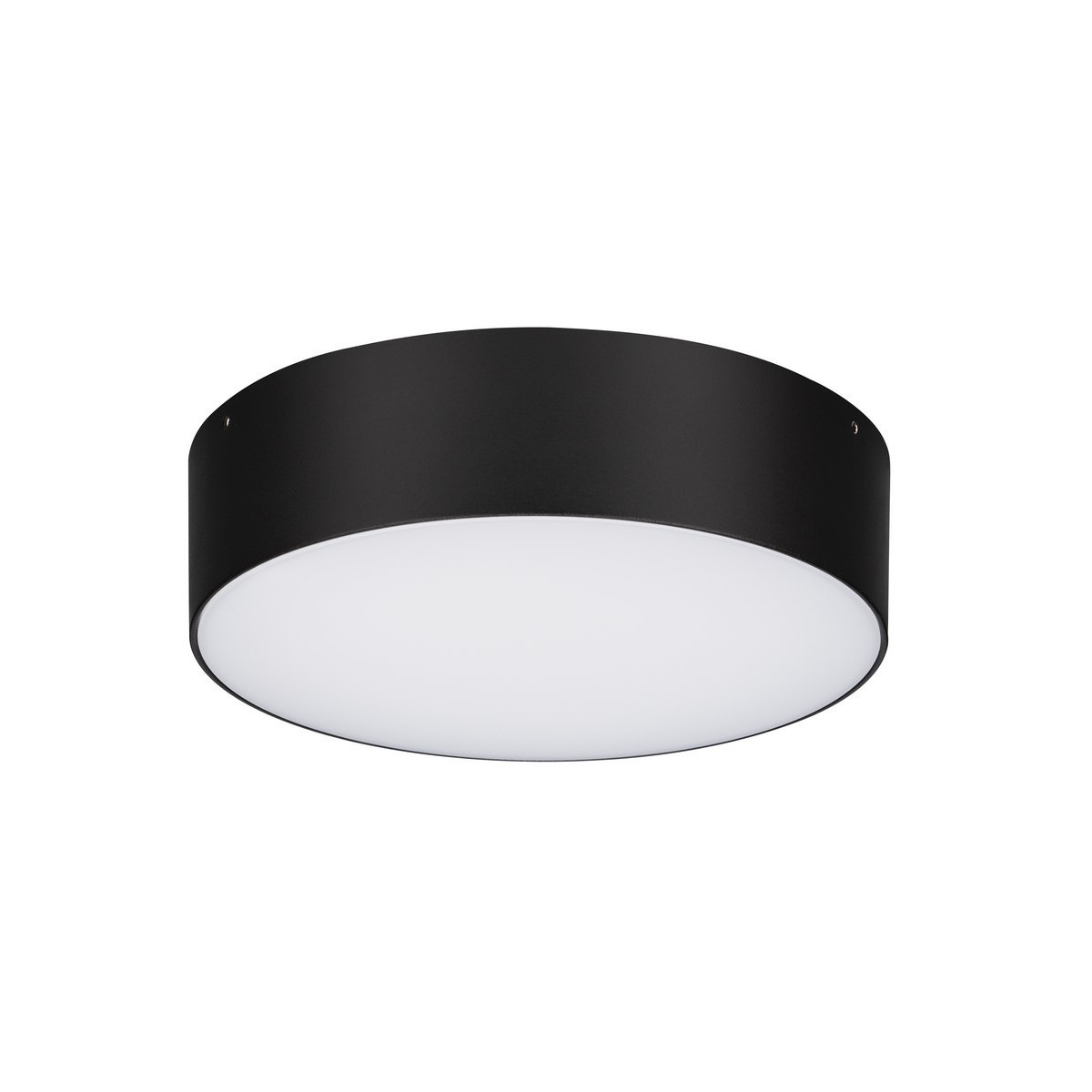 elegancka zewnętrzna lampa sufitowa Luces Exclusivas BORJA LE73651