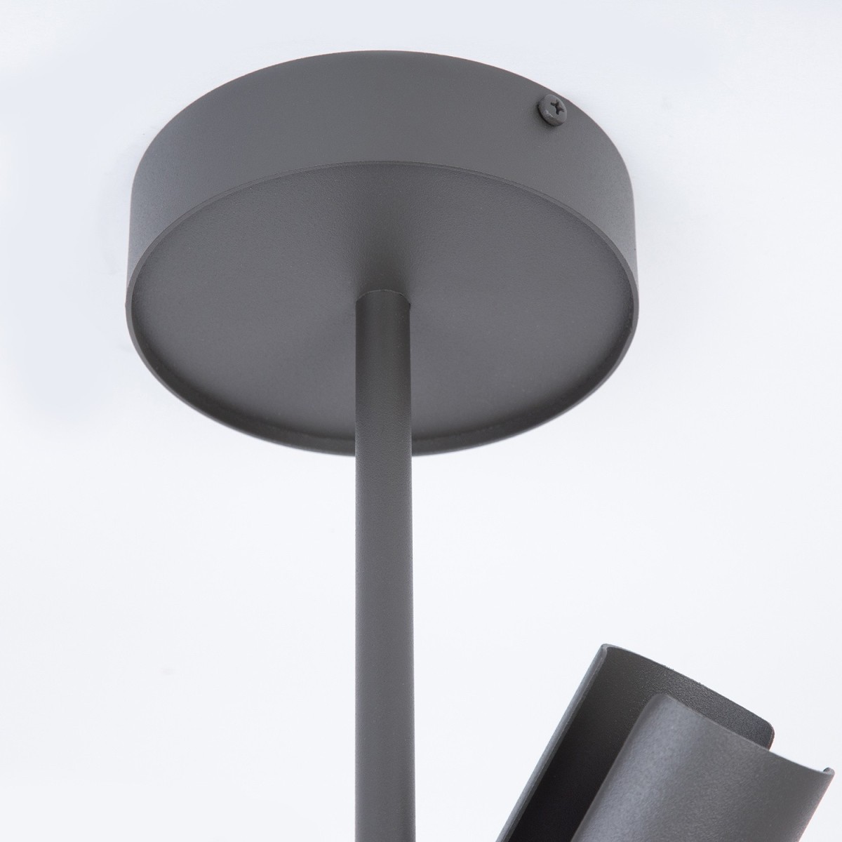 delikatna oprawa Sigma LEDA plafon-spot 41150 kolor ciemna oliwka 2xGU10 10W led