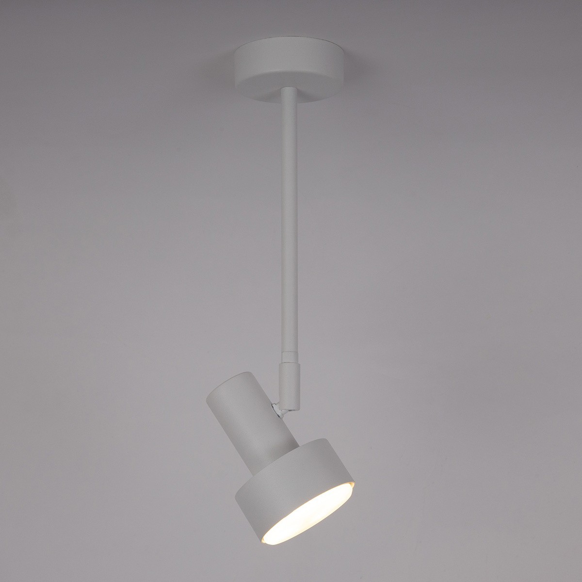 estetyczna oprawa Sigma MONA plafon 40987 kolor biały 1xGX5312w led