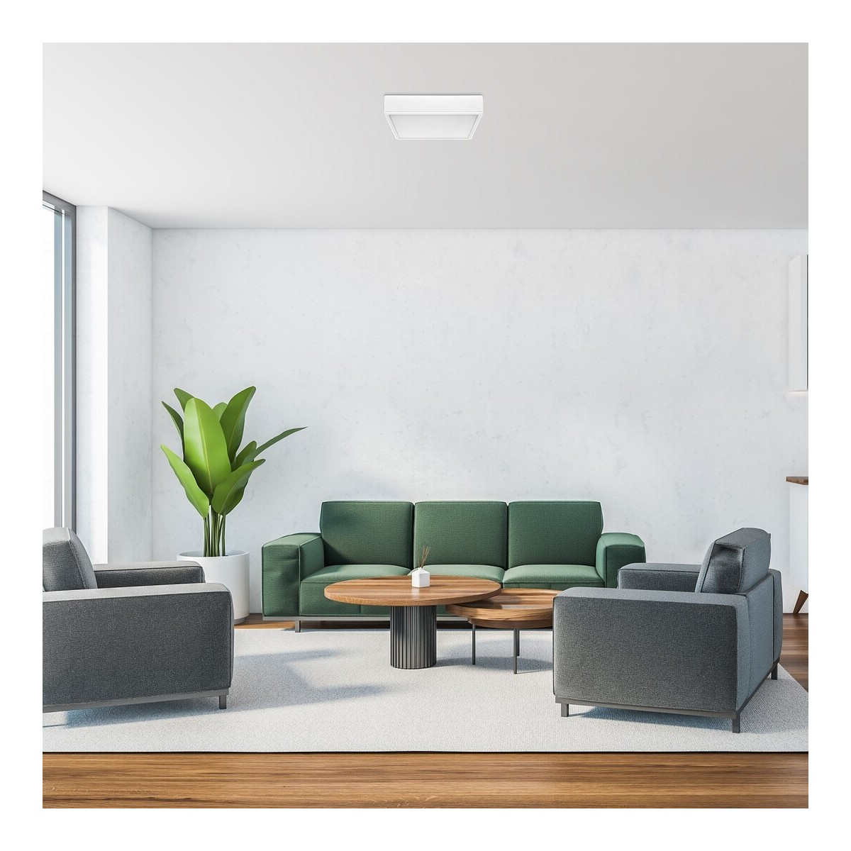 Rabalux Lauri 71245 - typ - Natynkowe i podtynkowe oświetlenie