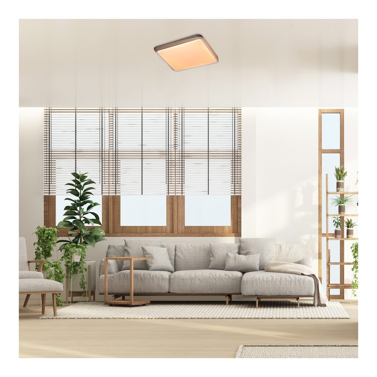 Rabalux Druzor 71166 - typ - Lampy sufitowe