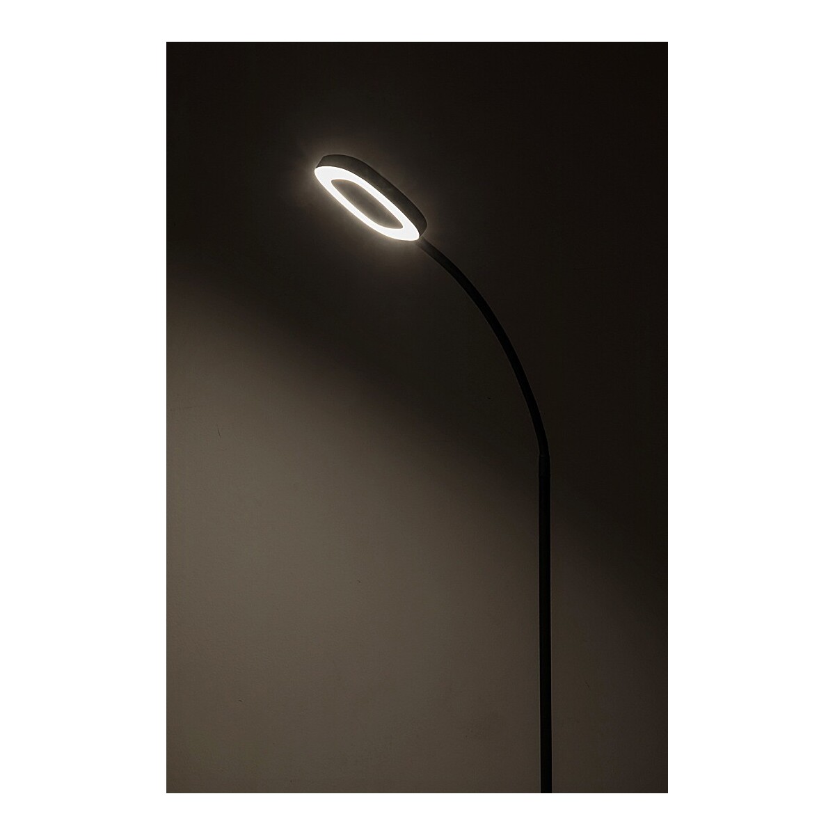 Rabalux Rader 74004 - typ - Lampy podłogowe