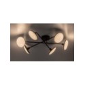 Rabalux Madi 71063 - typ - Lampy sufitowe