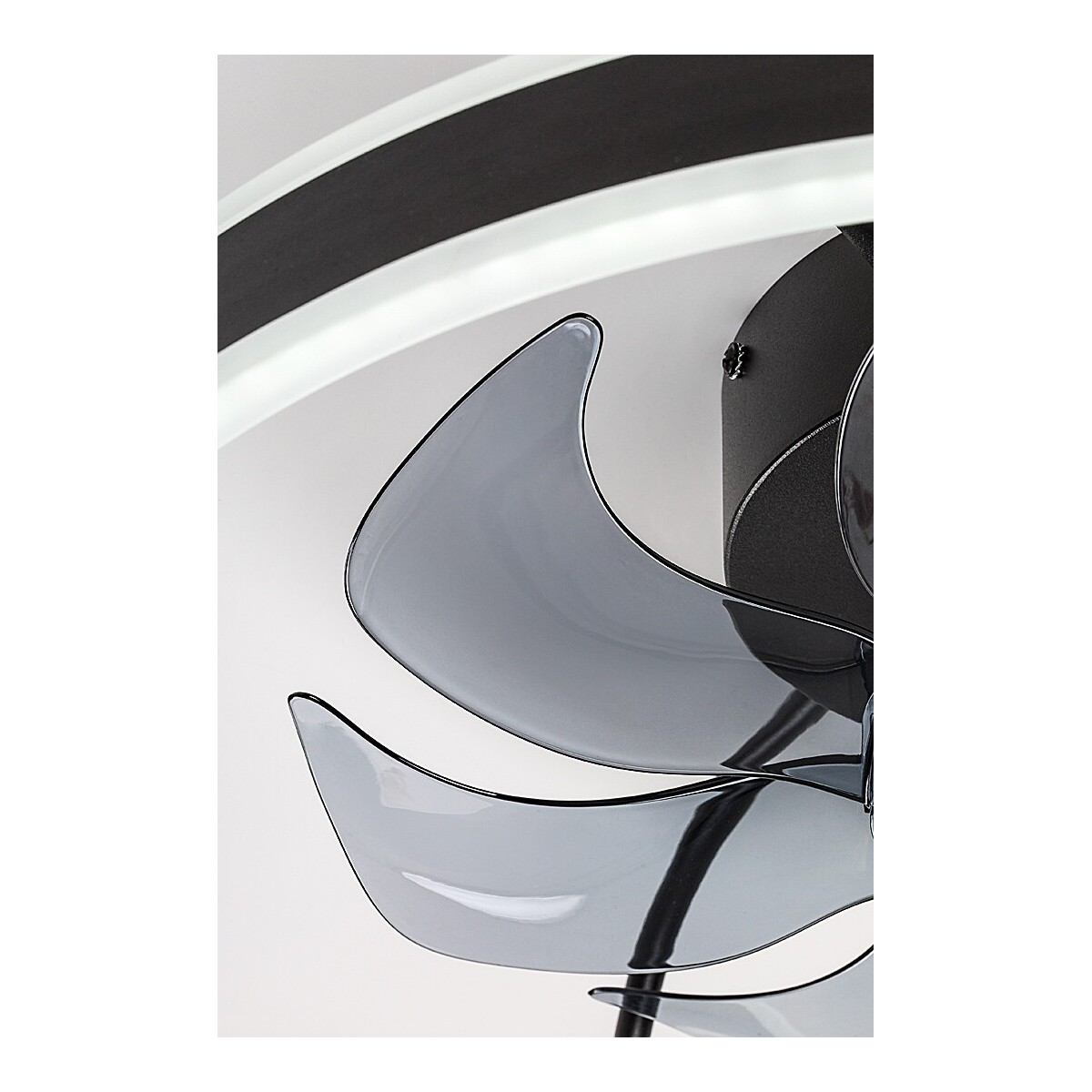 Rabalux Fanfy 71337 - typ - Lampy sufitowe