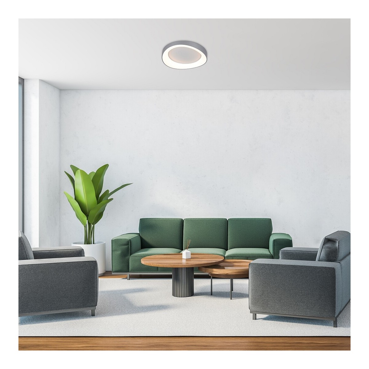 Rabalux Iliana 71055 - typ - Lampy sufitowe