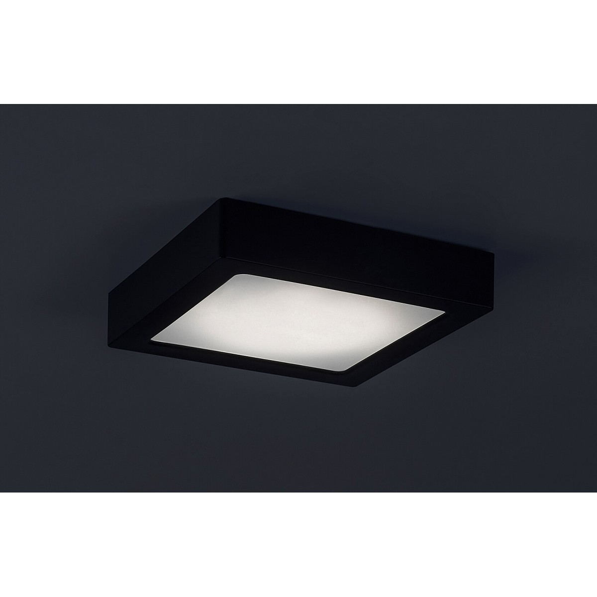 Rabalux Shaun2 71202 - typ - Natynkowe i podtynkowe oświetlenie