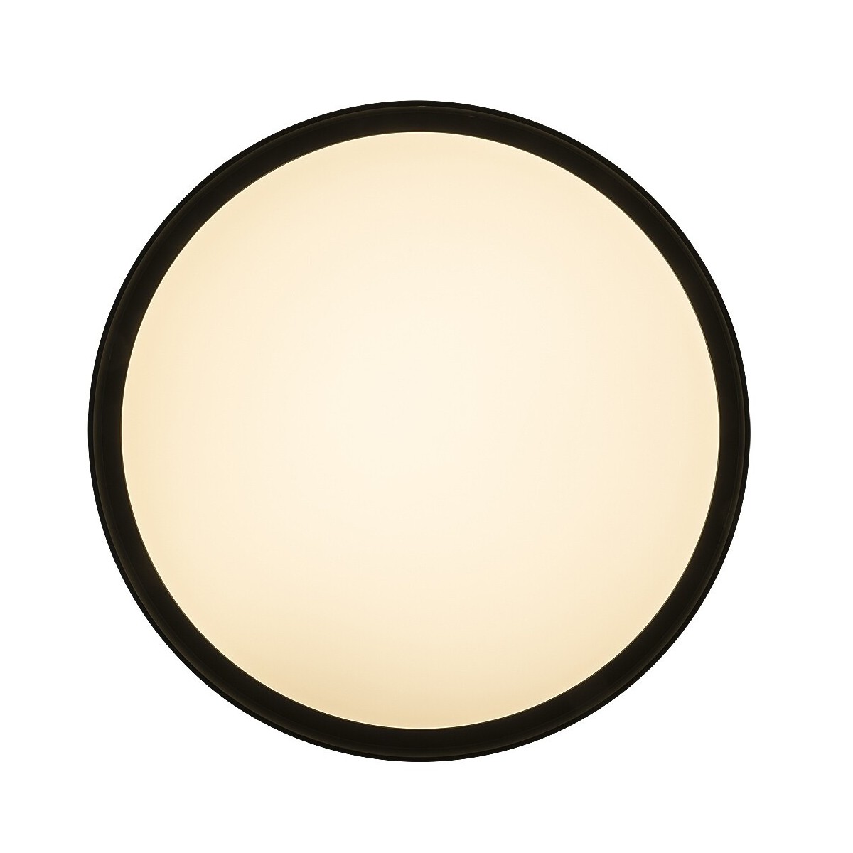 Rabalux Achilles 3146 - typ - Lampy sufitowe