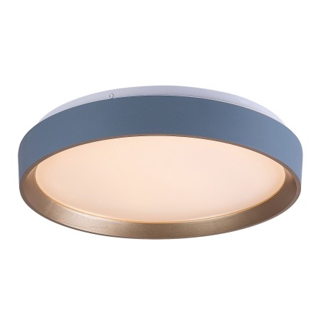 Rabalux Liatris2 71185 - typ - Lampy sufitowe